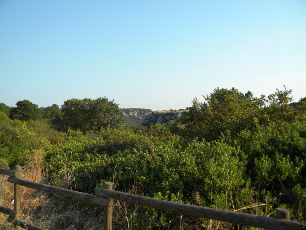 DSCN2638 .JPG